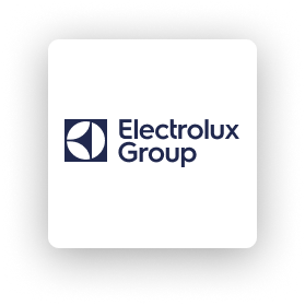 12.ELECTRO LUX GROUP